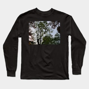 Colour of the tree on sunset Long Sleeve T-Shirt